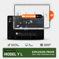Center Display Screen Protector For Y L